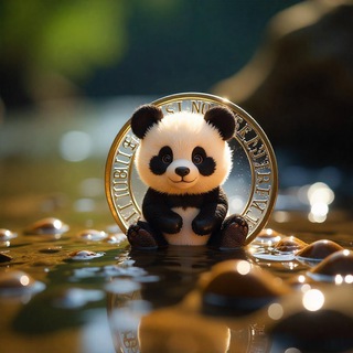 Panda baby