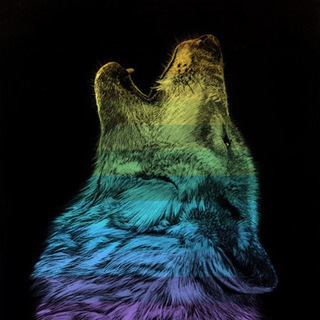 lobitter 🐺🎄