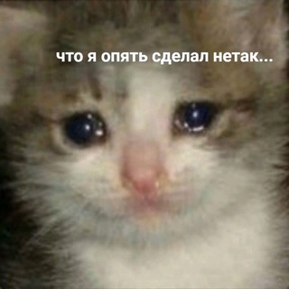 предложка рчяж;)