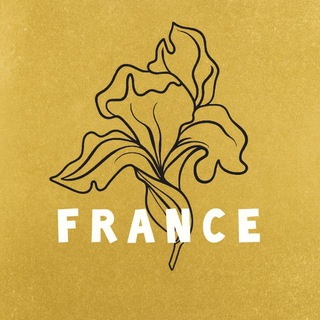 France Франция Франція + Париж