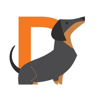 Dachshi