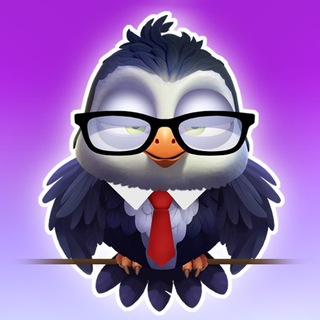 Space Birds | SUPPORT