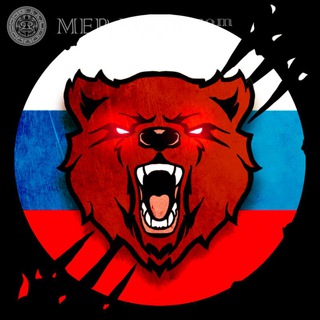 Обратная Связь