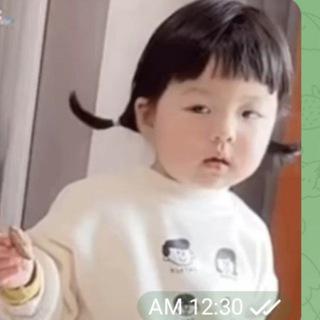 太平洋担保嗨嗨妹双向机器人