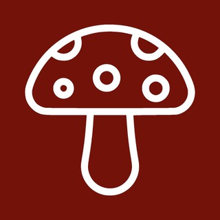 Fliegenpilz 🍄 muscarita