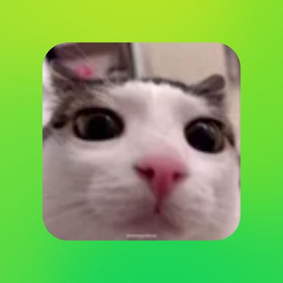 Мой тег)