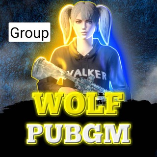WOLF PUBGM1 | GROUP
