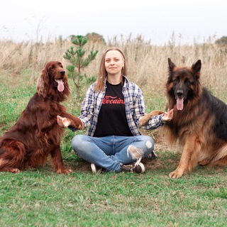River’s dog. Кинология. Собаки.