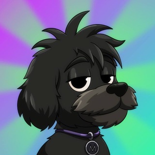 $MYRO | The Solana Founders Dog