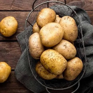 PotatoBets