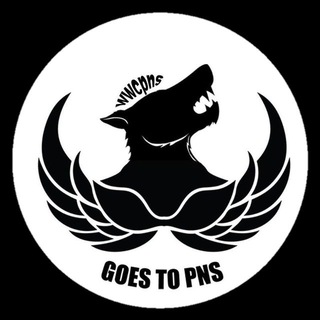WWCPNS goes to PNS