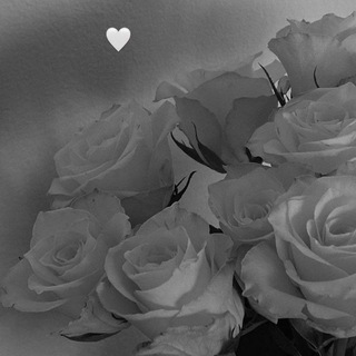 Happy people...🕊️