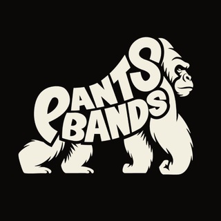 PANTS BANDS НАЛИЧИЕ😮‍💨‼️