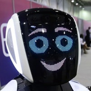 R.J Bot