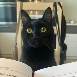 Юлия Климина