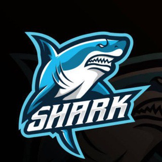 Shark Betting