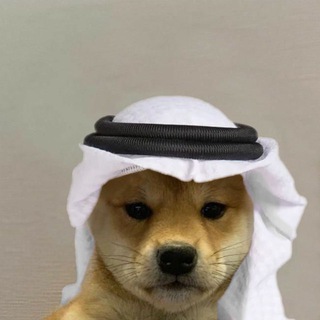 Habibi