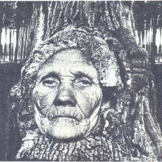 тест
