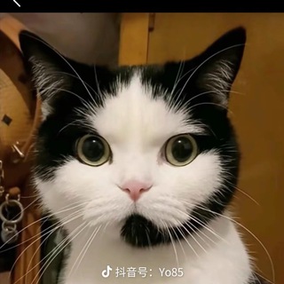 领红包🧧pg大男孩每晚4点直播 看简介
