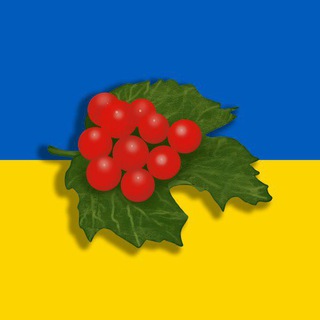 ВГ - Червона Калина