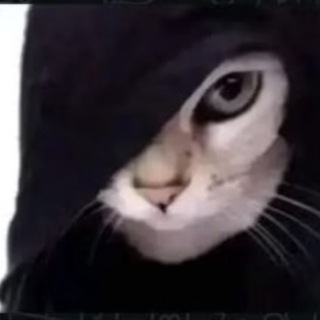 соши