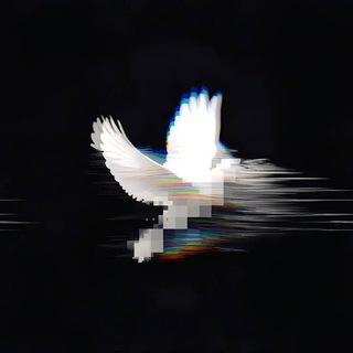 My songs
