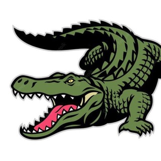 ⚜️🐊 ʟᴀᴄᴏsᴛᴇ 🐊⚜️