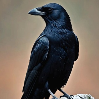 Kevin