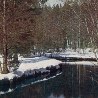 Кирилл З.