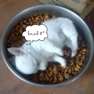 to. kkyu