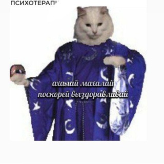 Психиатрия и котики