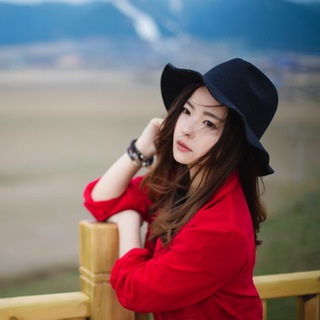 体育比分，预测，赔率