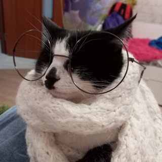 Техподдержка