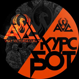 AVC_КУРСЫ
