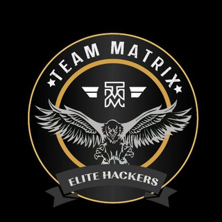 Team Matrix Chat Bot!