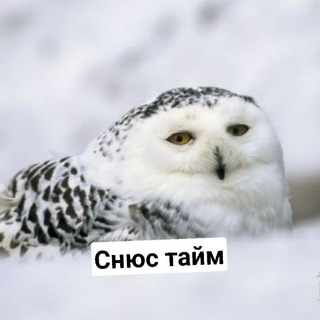 КЫЗДАРАЛ НЕ СТЫЙМЕЗ