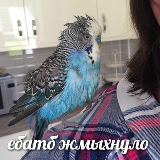 ТорохтелОчка😌