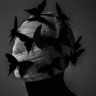 𝙌𝙪𝙧𝙖𝙖𝙣 𝙚𝙭𝙥𝙡𝙤𝙧𝙚𝙧 🎧🖤