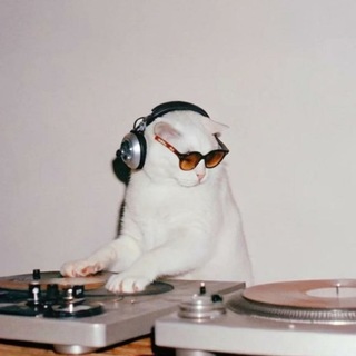 для особого 🎧🎶