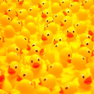 Duck Party 🇷🇸