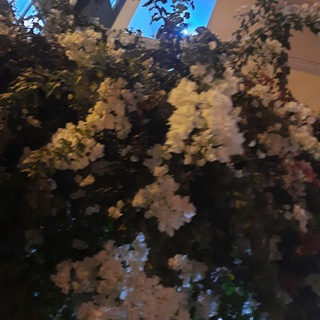 مسلم أبو عبدالرحمن