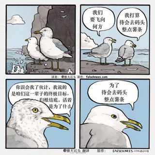 Totoro 今天去码头整薯条了吗