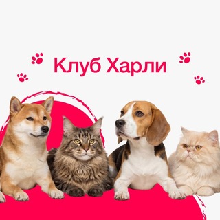 Клуб Харли | Питомцы