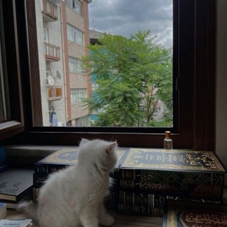 Ibrohim Latifboyev