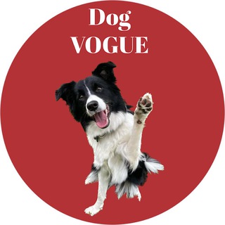 Dog Vogue