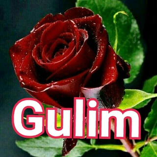 ❤️ Gulim ❤️