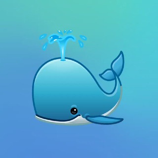 Mr john | whale