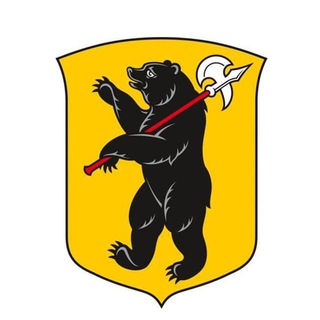 Медведь бот