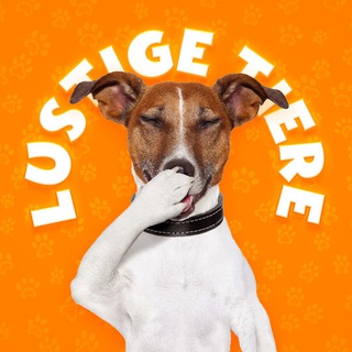 LUSTIGE TIERE