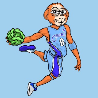 Lettuce Raid 🥬